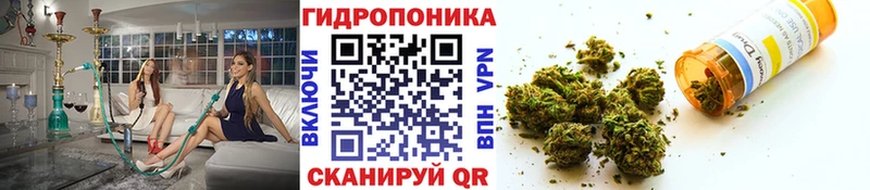 Бошки Шишки White Widow  Зеленокумск 
